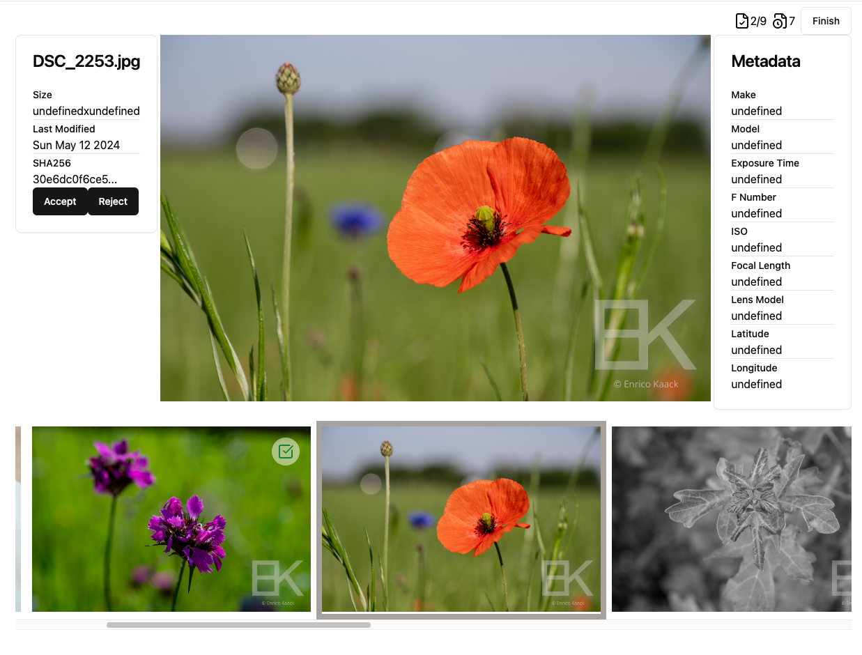 Review page screenshot. Showing the image and exif information and a image gallery with marked images as accepted and rejected.